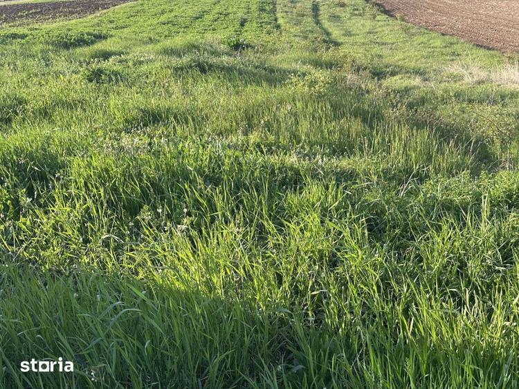 Teren Intravilan de vanzare in Alba Iulia zona Micesti in suprafata de - 2