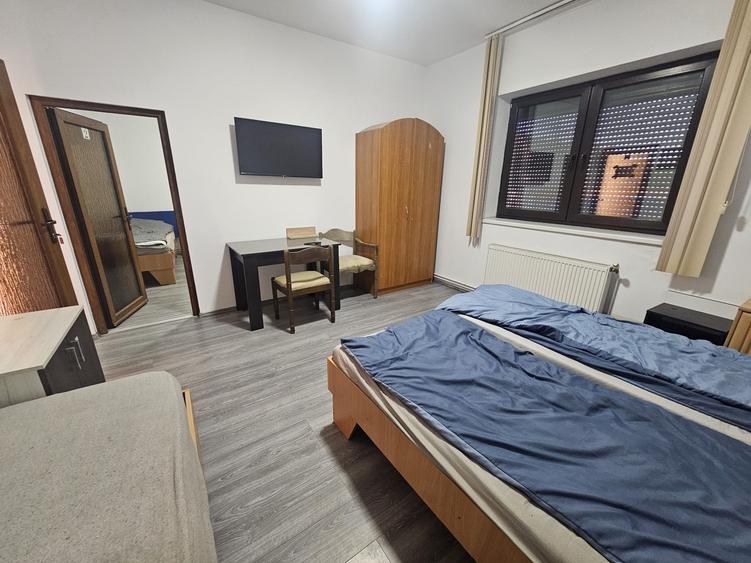 Proprietate speciala Dumbravita - casa individuala !! - 31