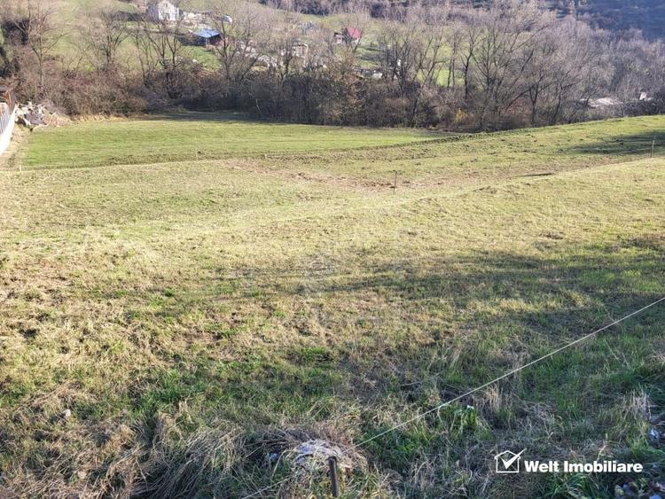 Teren intravilan constructii Tauti - 3