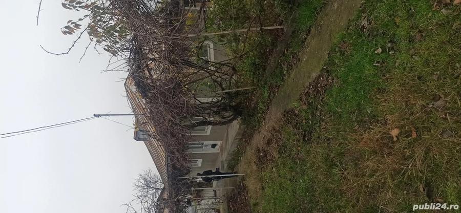 Casa Ivesti - centru - 1