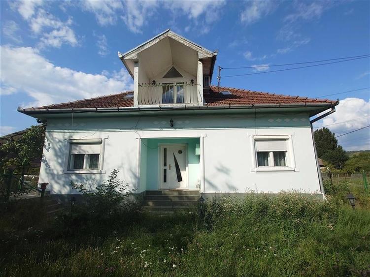 Casa P+M cu teren generos si loturi suplimentare in Baia de Cris - 2