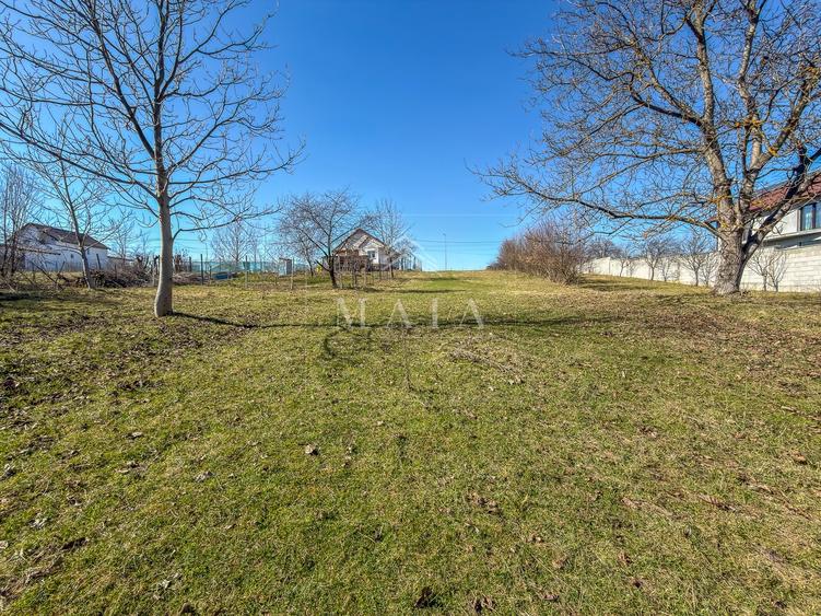 Teren intravilan, la 5 minute de cartierul Valea Aurie, 2388 mp - 4