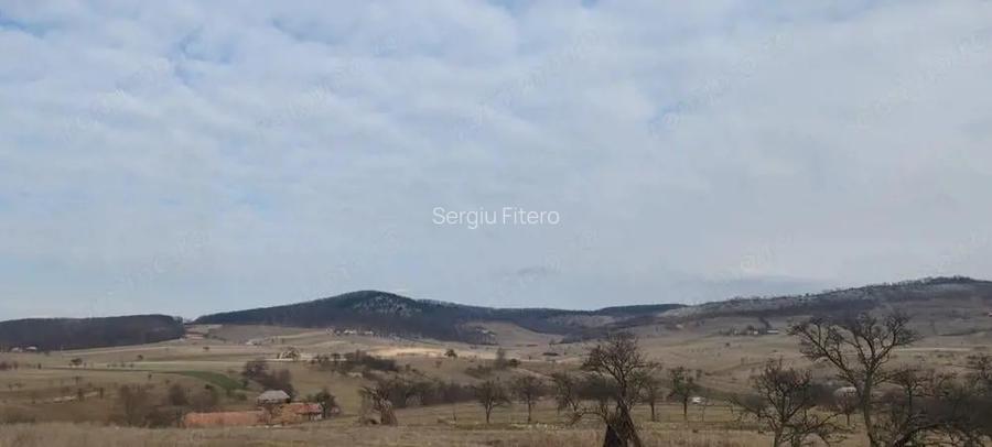 Teren 2282 mp, extravilan, localitatea Fasca, comuna Varciorog, jud. Bihor Teren 2282 mp, extravilan, localitatea Fasca, comuna Varciorog, jud. Bihor