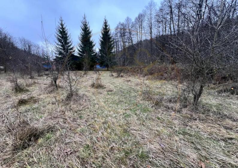 Teren intravilan 6.500 m2Deschidere 144 ml drum european - 3