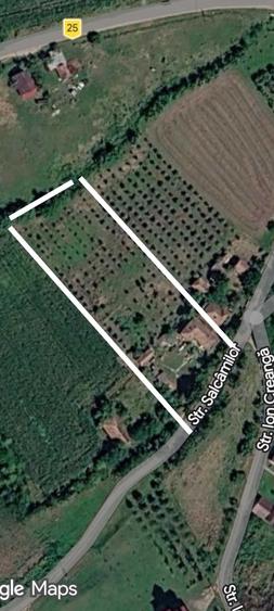 Casa Samboleni com camarasu 45 km de cluj - 7