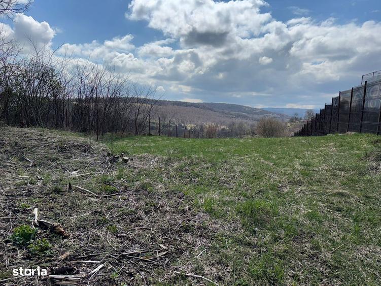 Teren construibil casa/ duplex Feleacu/asfalt - 1