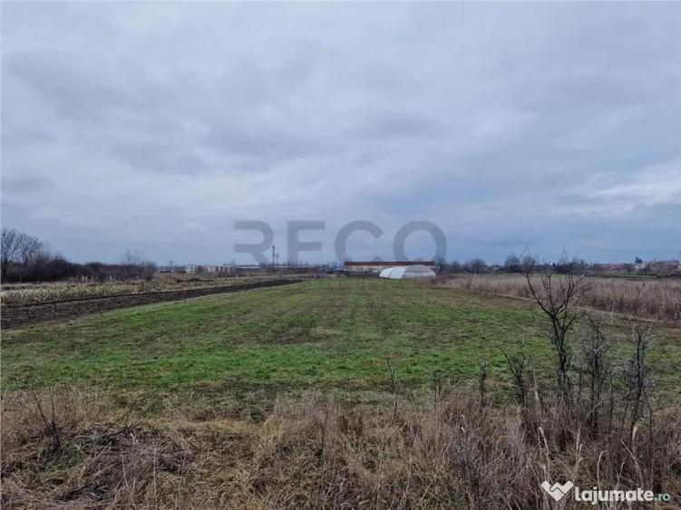 Teren intravilan in Bors cu front mare - 1