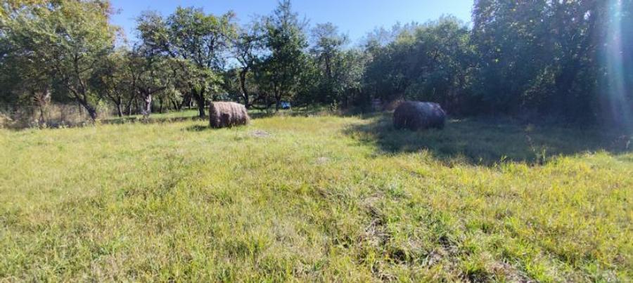 Vand teren pentru constructie in Vechea- Chinteni - 2