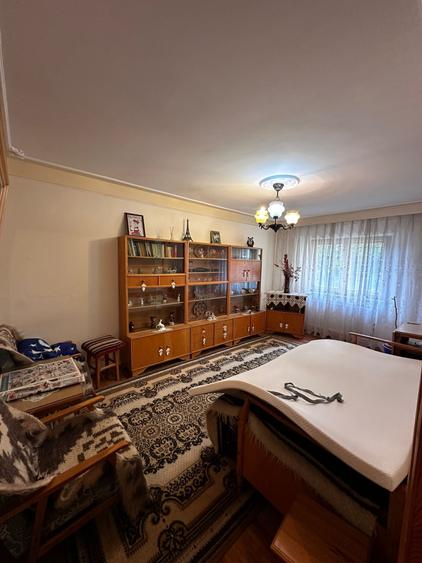 Apartament cu 2 camere decomandat, etaj 1/4, zona Canta - 1