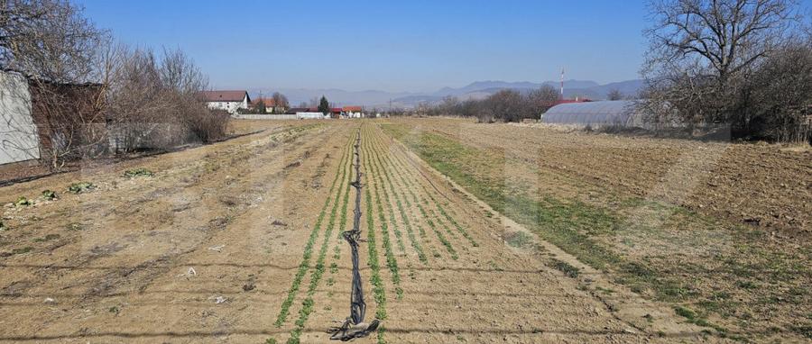 Teren intravilan de vanzare, 4550 mp, in zona Santuhalm - 1