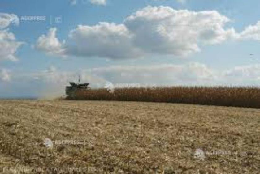 3,5 ha teren agricol la Vulpeni judetul Olt - 1