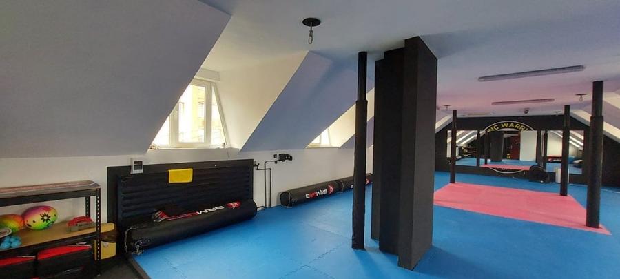 Imobil 650 mp-Sg. de Mures - 5