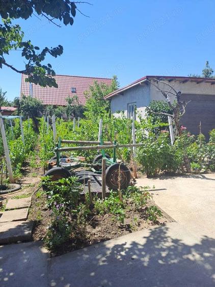casa de vanzare sau schimb cu ap - 9