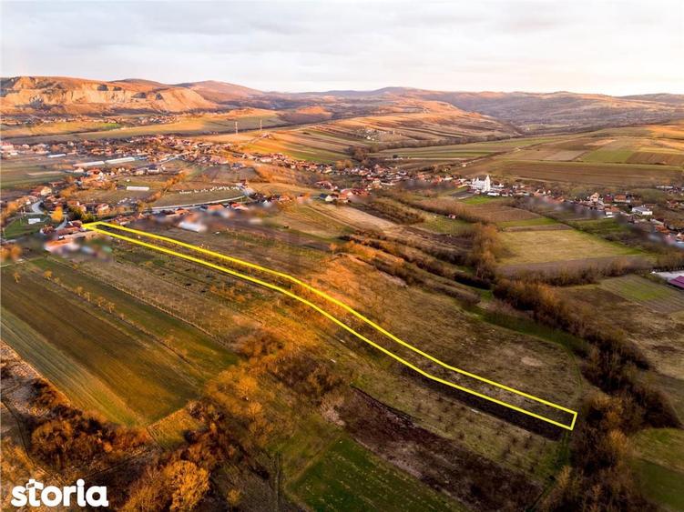 RECO Teren intravilan pentru loc de casa 5342 mp- sat.Hotar - 6