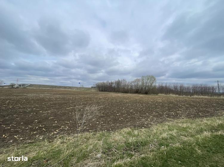 Teren Intravilan | 50 Ari | Zona Periferica Radauti - 6