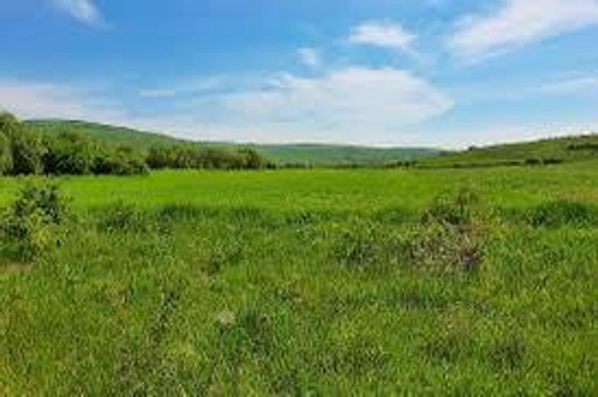 ReCO Teren extravilan in Dragesti spre Stracos 7200mp - 1