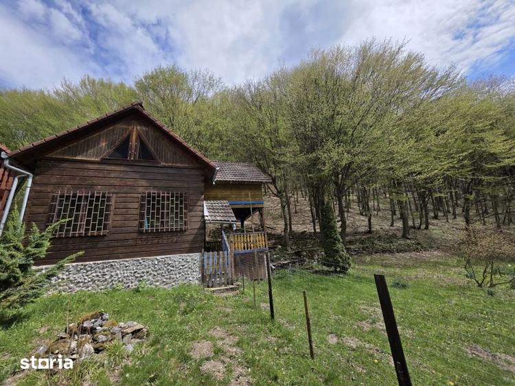 Cabana Iezer Ighiel panorama superba, liniste si potential de inve - 12