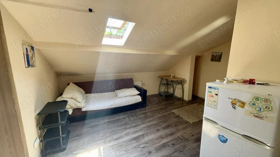 Pet Friendly Elisabetin Balcescu Maria Sinaia Medicina 2 Politehnica UVT - 4