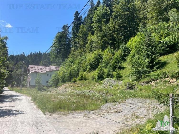 IDEAL INVESTITIE TEREN PREDEAL, 1936 mp intravilan, toate utilitatile, padure - 1