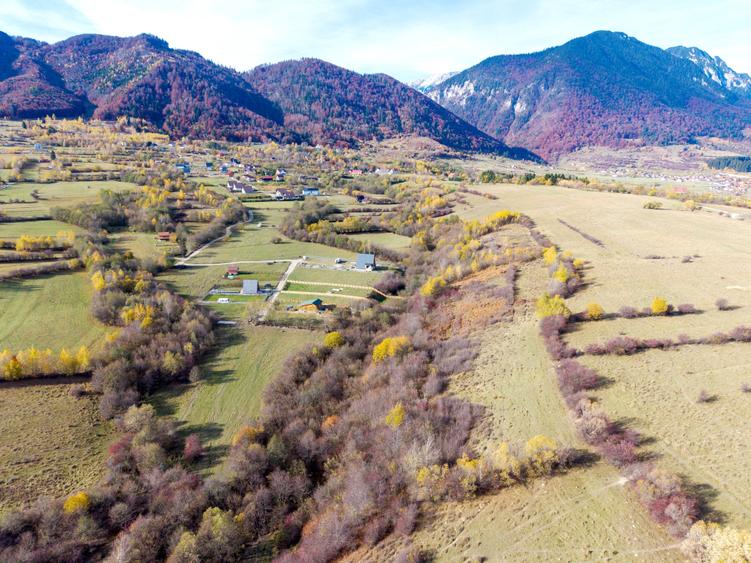 Teren intravilan 2500mp Tohanita Zarnesti- ideal casa de vacanta - 5