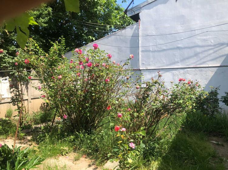 Proiect casa pe pamant necesita renovare totala, curte 85 mp, garaj+anexa - 8