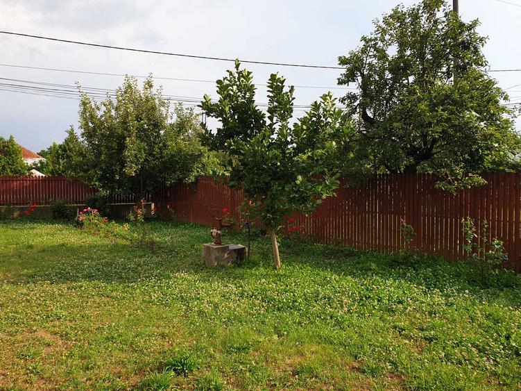 Vand doua case Stalpeni, Arges + teren arabil, 400mp + 4375mp, livada - 1