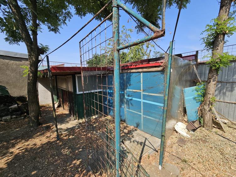 CASA TRADIȚIONALĂ ”MAGNOLIA, P+M 195mp, TEREN 556mp, CHIAJNA-STR. EROULUI - 49