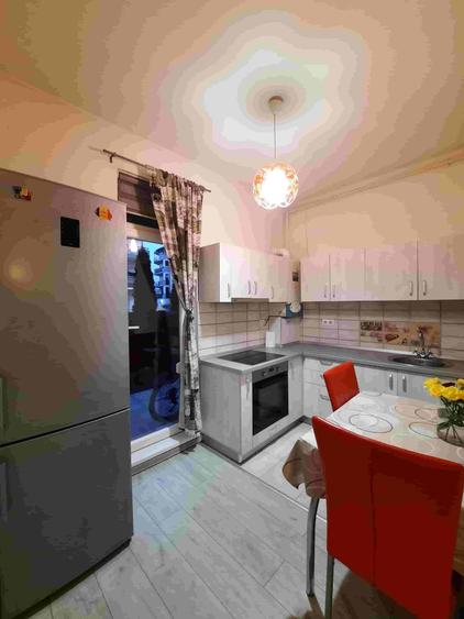 Garsoniera cu gradina proprie, Alma, Turnisor - 2