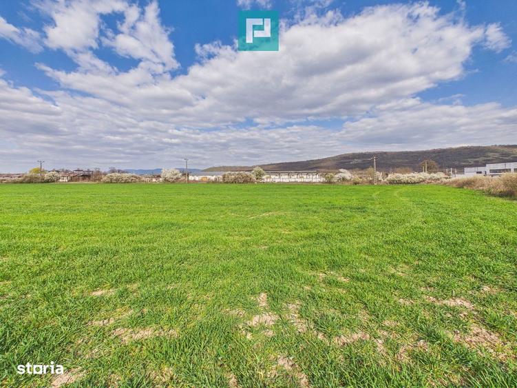 Teren extravilan, 1 ha, in ora?ul Sebi?, Arad - 10