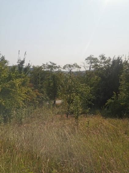 Teren intravilan de 1475 mp, în Central