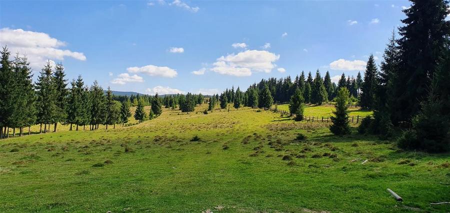 Teren Construcții de 1350 mp, în Beliș