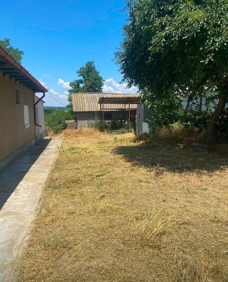 Casă cu 3 camere în Nufăru