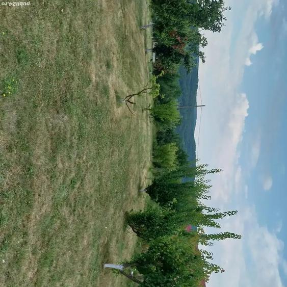 Teren de 2524 mp, în Central