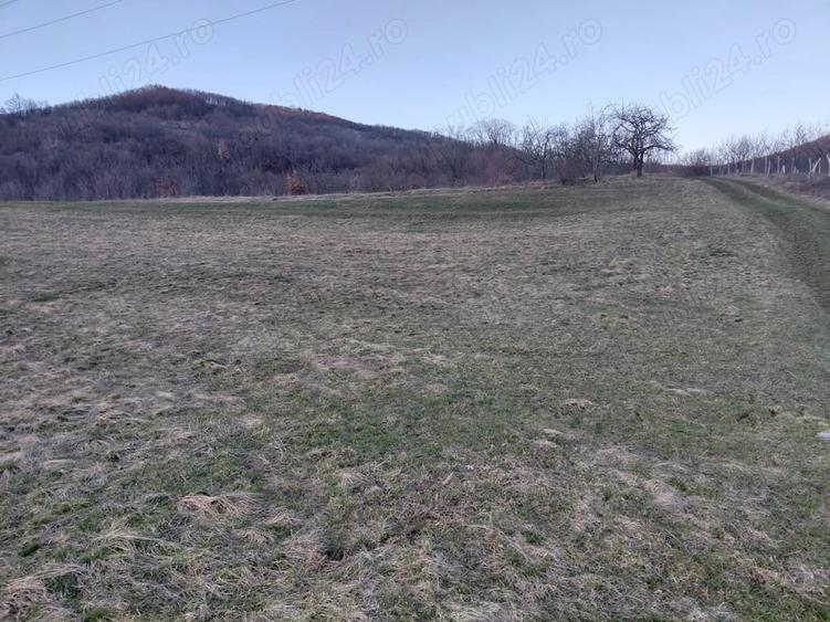 Teren de 4090 mp, în Cozia