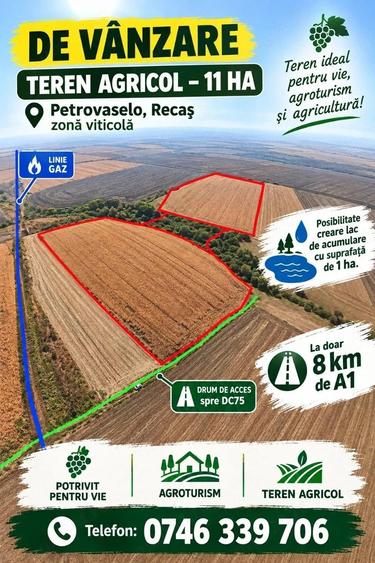Teren de 110000 mp, în Petrovaselo