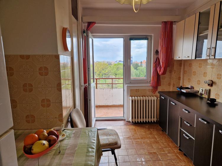 Pe cel mai frumos bulevard din oraș CORNELIU COPOSU-terasa cu vedere spre Bega - 26