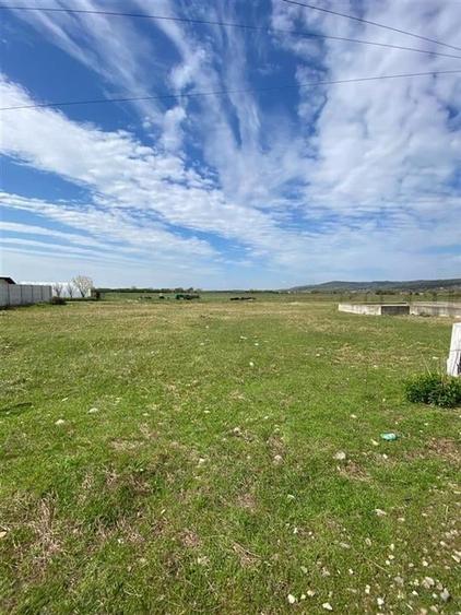 RECO Teren intravilan in  Osorhei 1000mp - 4