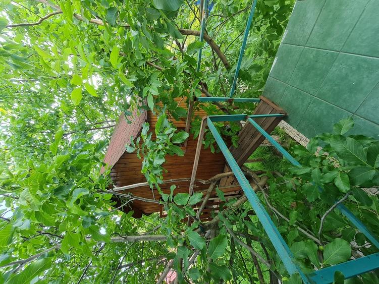 Buftea, Ilfov, centru, Iuliu Maniu 10 - 2