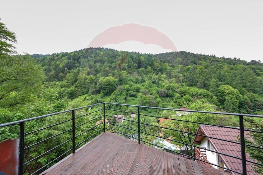 Casa in inima naturii - potential turistic - Centrul Istoric! - 28