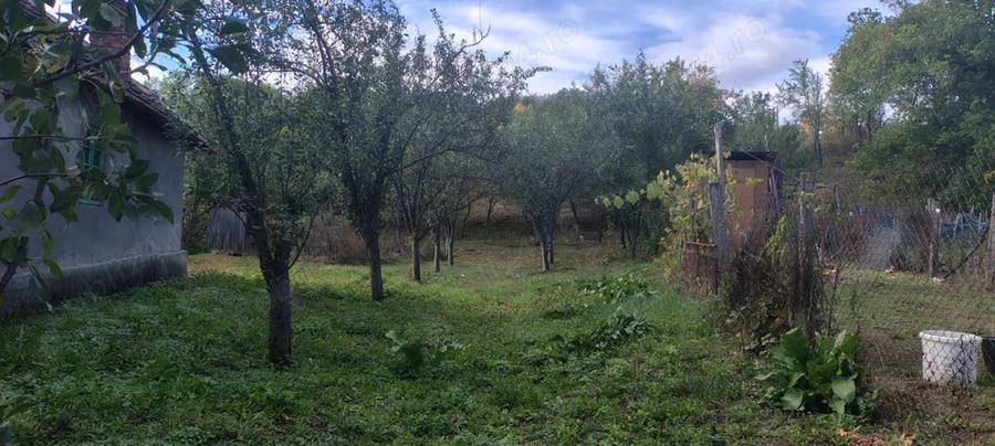 Casa de vanzare in ilovat, mehedinti - 3