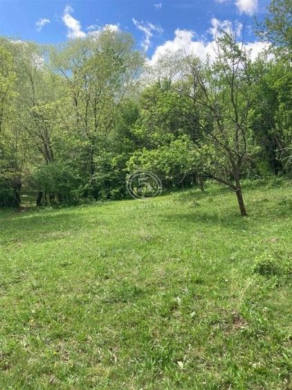 Izvoarele Valea Borului- Teren Intravilan de Vanzare- Comision 0% - 6