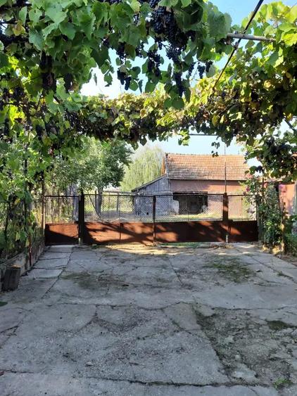 Vand proprietate in Miersig, jud.Bihor, la aproximativ 20 km de Oradea. - 4