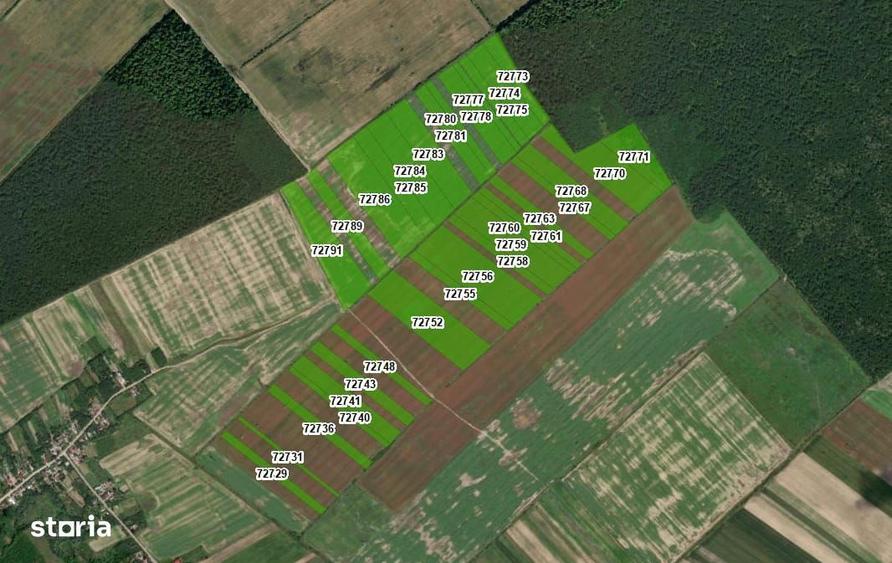 Inchiriere/vanzare 1800-25.000 euro/ha,90ha Contesti direct proprietar - 1