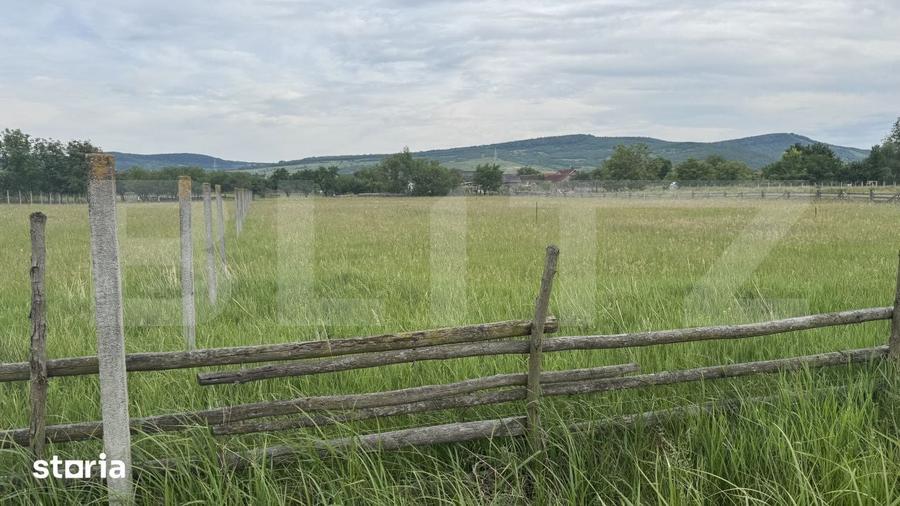 1100 mp de teren intravilan in Livezile, perfect pentru constructie - 4