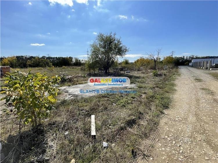 Gulia Tartasesti Str Samurcasi 482 mp deschidere 25 ml - 8