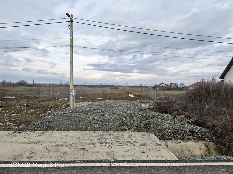 Teren casa Ana Ipatescu - 6