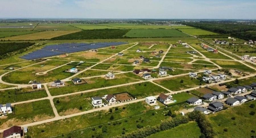 Oportunitate Eden Forest - 6