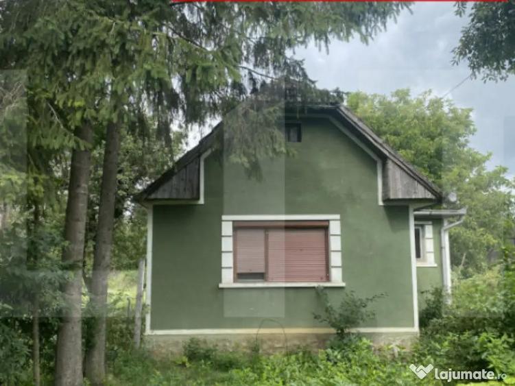 Casa tradi?ionala cu teren generos Belin - 7