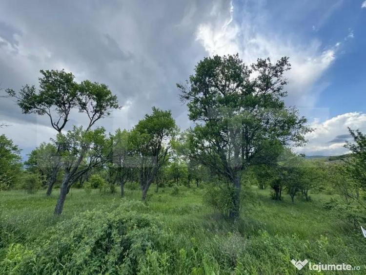 Teren extravilan de vanzare, 5305 mp, in apropiere de Ha?eg - 3