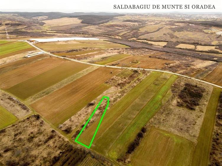 RECO Teren intravilan in Paleu - 1